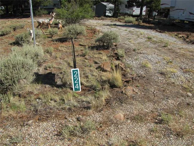 224 Lantern Loop Hartsel, CO 80449