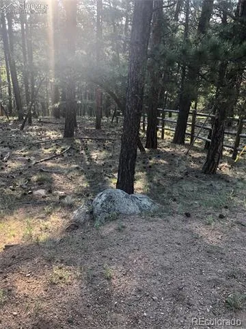 469 Echo Lake Drive Lake George, CO 80827
