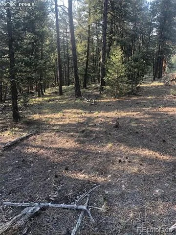469 Echo Lake Drive Lake George, CO 80827