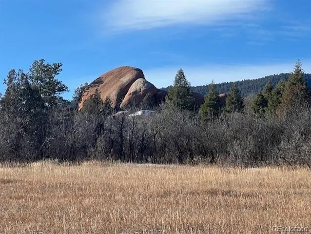 6009 St Andrews Court Larkspur, CO 80118