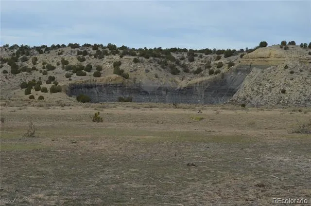Red Creek Springs Road Pueblo, CO 81005