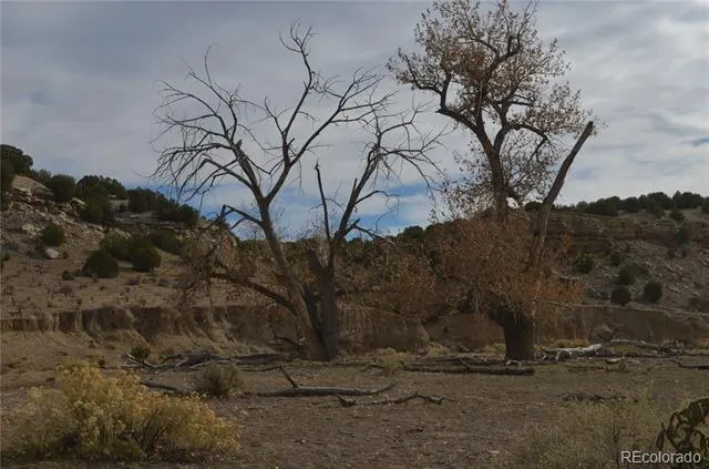 Red Creek Springs Road Pueblo, CO 81005