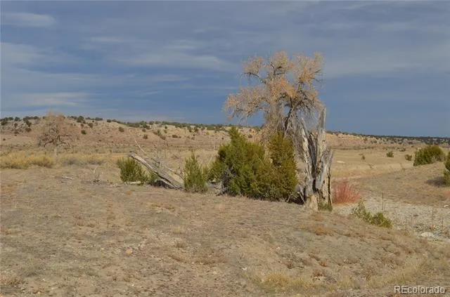 Red Creek Springs Road Pueblo, CO 81005