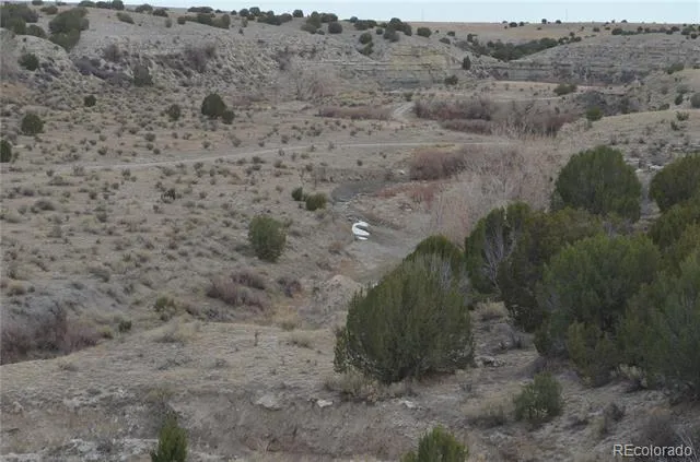 Red Creek Springs Road Pueblo, CO 81005