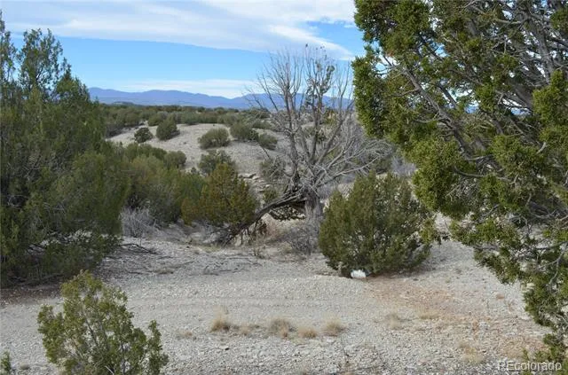 Red Creek Springs Road Pueblo, CO 81005