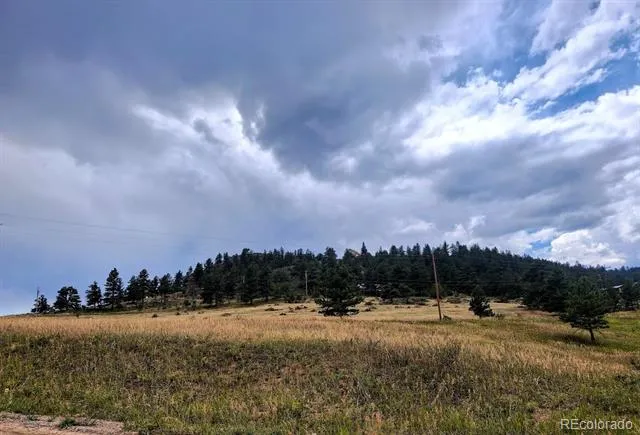 609 Eiger Road Livermore, CO 80536