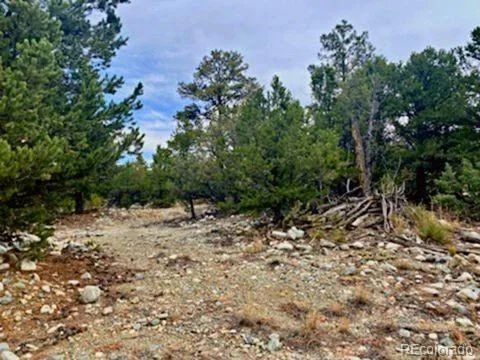 Mill Run Road Mosca, CO 81146