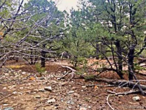Mill Run Road Mosca, CO 81146