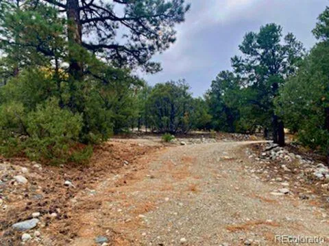 Mill Run Road Mosca, CO 81146