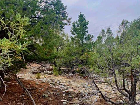 Mill Run Road Mosca, CO 81146