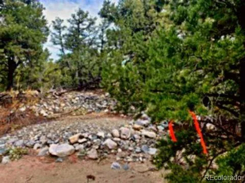 Mill Run Road Mosca, CO 81146