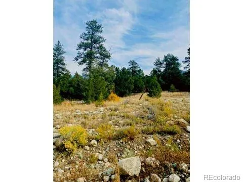 Mill Run Road Mosca, CO 81146
