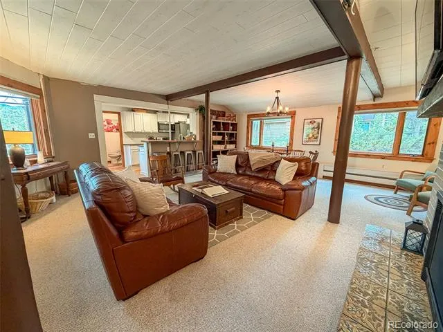 1369 GCR 64 Grand Lake, CO 80447