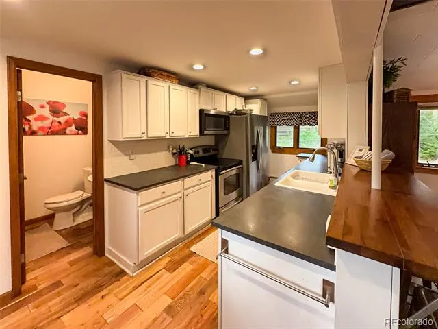 1369 GCR 64 Grand Lake, CO 80447