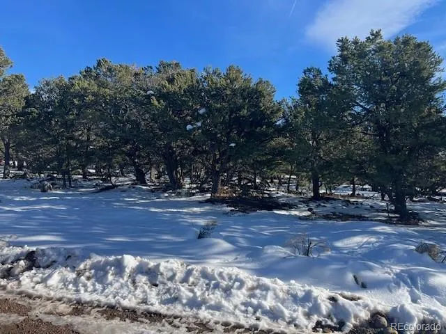 3952 Cheerful Place Crestone, CO 81131