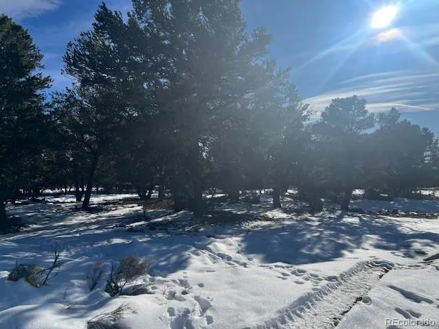 3952 Cheerful Place Crestone, CO 81131
