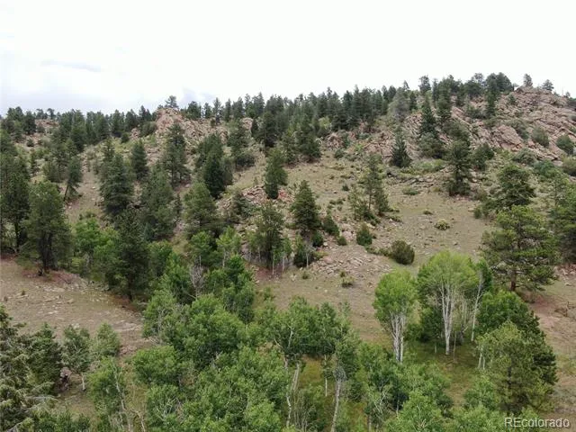 Address Not Shown Florissant, CO 80816