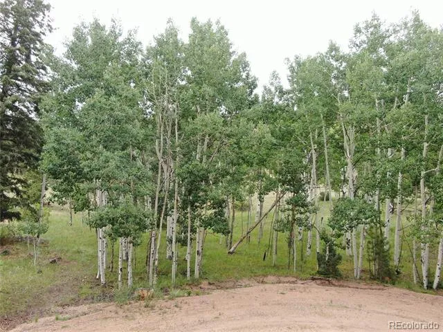 Address Not Shown Florissant, CO 80816