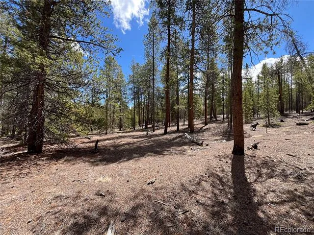 1013 Sequoia Drive Twin Lakes, CO 81251