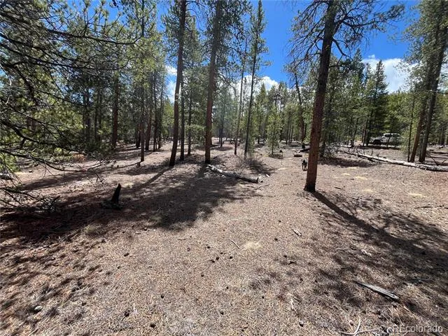 1013 Sequoia Drive Twin Lakes, CO 81251