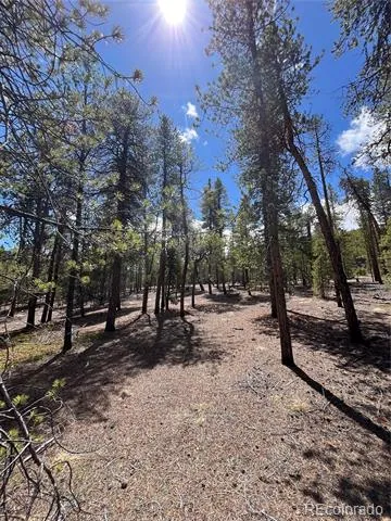1013 Sequoia Drive Twin Lakes, CO 81251