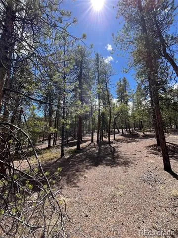1013 Sequoia Drive Twin Lakes, CO 81251