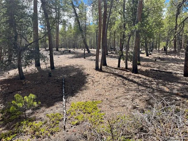 1013 Sequoia Drive Twin Lakes, CO 81251