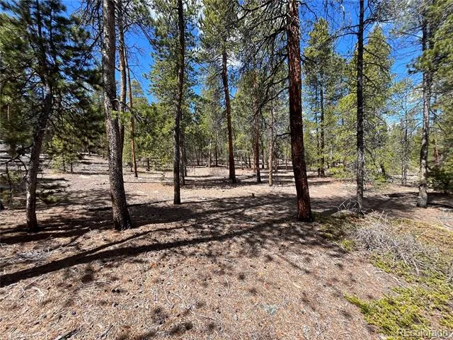1013 Sequoia Drive Twin Lakes, CO 81251