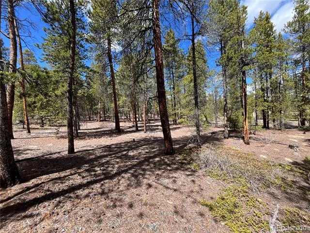 1013 Sequoia Drive Twin Lakes, CO 81251