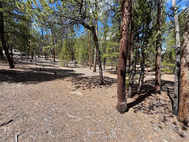 1013 Sequoia Drive Twin Lakes, CO 81251