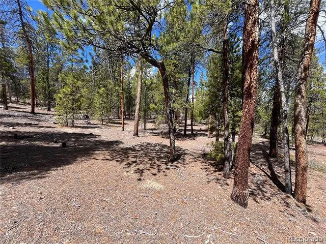 1013 Sequoia Drive Twin Lakes, CO 81251