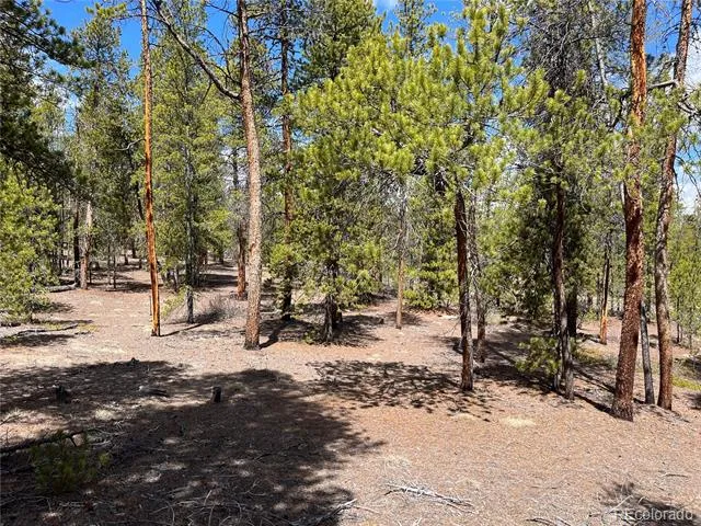 1013 Sequoia Drive Twin Lakes, CO 81251