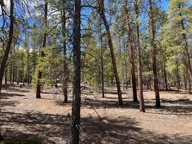 1013 Sequoia Drive Twin Lakes, CO 81251