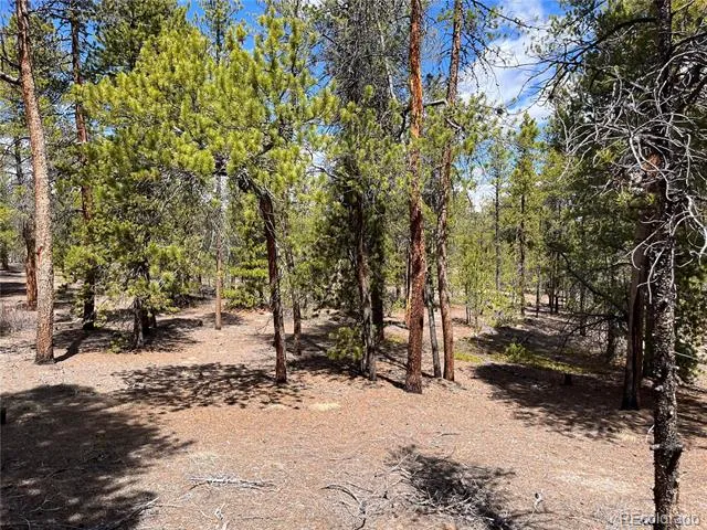 1013 Sequoia Drive Twin Lakes, CO 81251