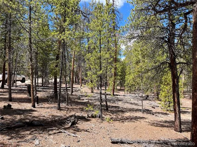 1013 Sequoia Drive Twin Lakes, CO 81251