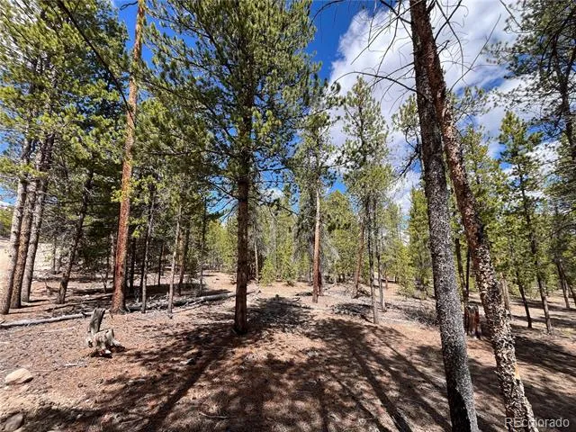 1013 Sequoia Drive Twin Lakes, CO 81251