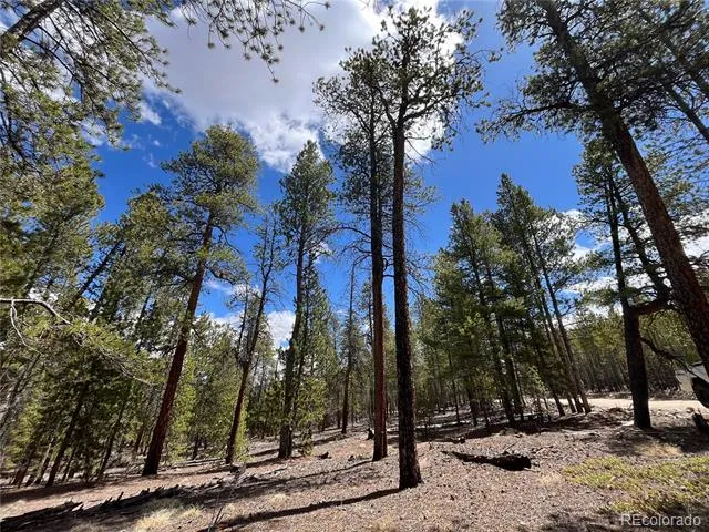 1013 Sequoia Drive Twin Lakes, CO 81251