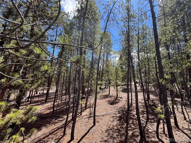 1013 Sequoia Drive Twin Lakes, CO 81251
