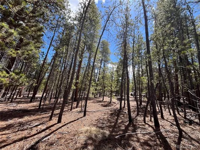 1013 Sequoia Drive Twin Lakes, CO 81251