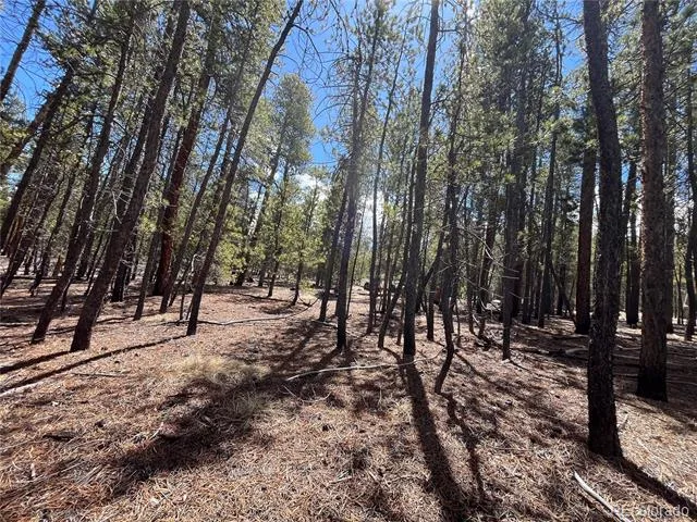 1013 Sequoia Drive Twin Lakes, CO 81251