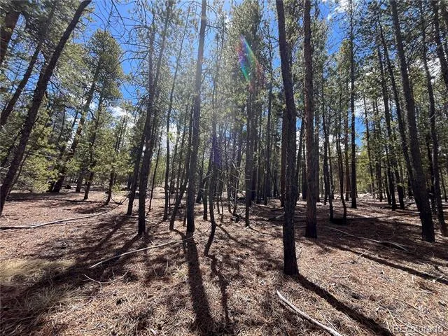 1013 Sequoia Drive Twin Lakes, CO 81251