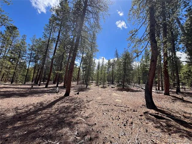 1013 Sequoia Drive Twin Lakes, CO 81251