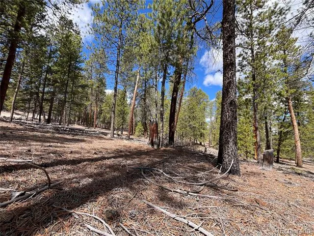 1013 Sequoia Drive Twin Lakes, CO 81251