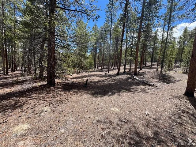 1013 Sequoia Drive Twin Lakes, CO 81251