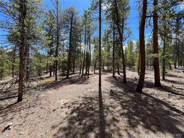1013 Sequoia Drive Twin Lakes, CO 81251