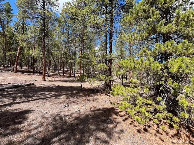 1013 Sequoia Drive Twin Lakes, CO 81251