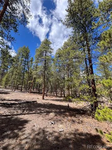 1013 Sequoia Drive Twin Lakes, CO 81251