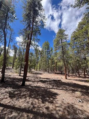 1013 Sequoia Drive Twin Lakes, CO 81251