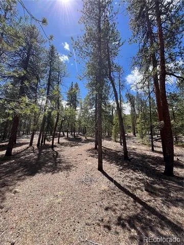 1013 Sequoia Drive Twin Lakes, CO 81251