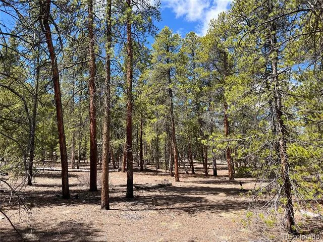 1013 Sequoia Drive Twin Lakes, CO 81251